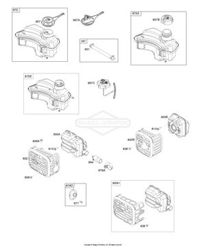 Briggs & Stratton 09P602-0012-H1