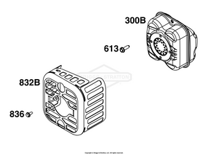 Briggs & Stratton 09P602-0124-H1