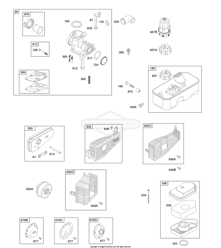 Briggs & Stratton 09T502-2236-B1