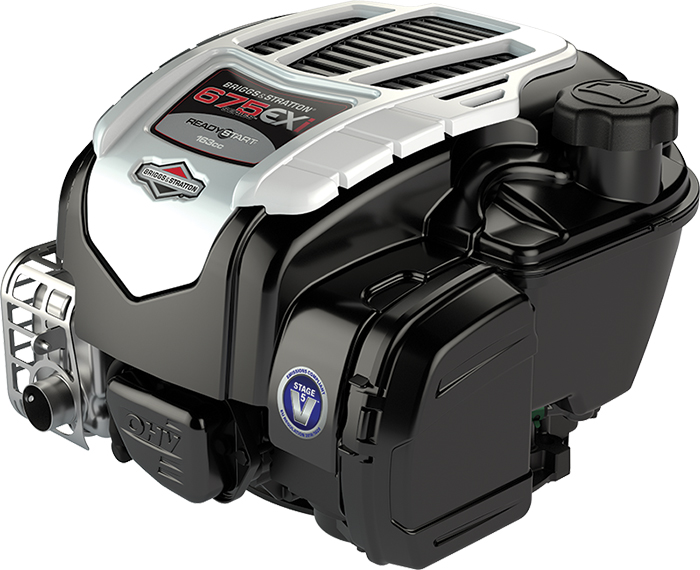 Briggs & Stratton 09T602-0110-H1