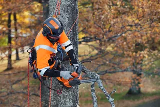 Husqvarna T55 R 2001 04
