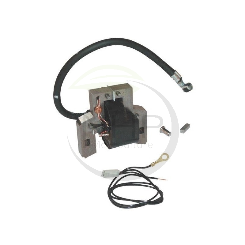 BOBINE ALLUMAGE MOTEUR BRIGGS ET STRATTON 397358 - 298316 - 395490 - 395491 - 697037 - 555075 - 555164