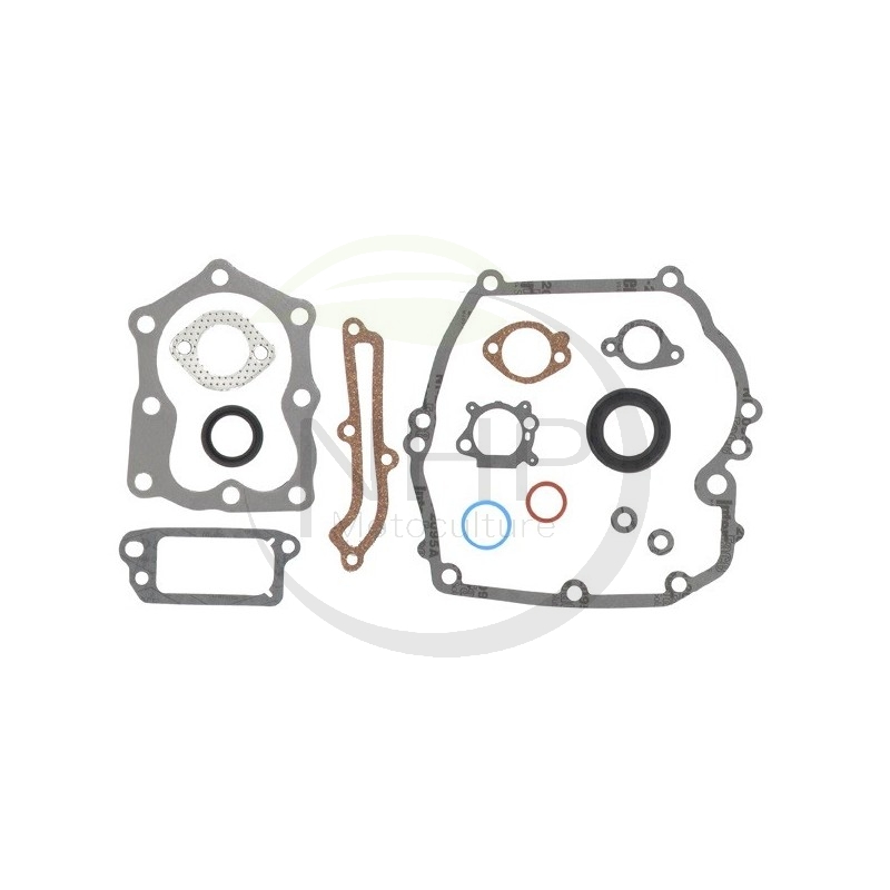 JEU DE JOINTS MOTEUR BRIGGS ET STRATTON 496117 - 590508 - 493263 - 794307 - 497316