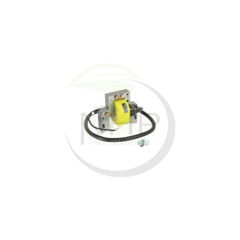 BOBINE D'ALLUMAGE BRIGGS ET STRATTON 298698 - 299366