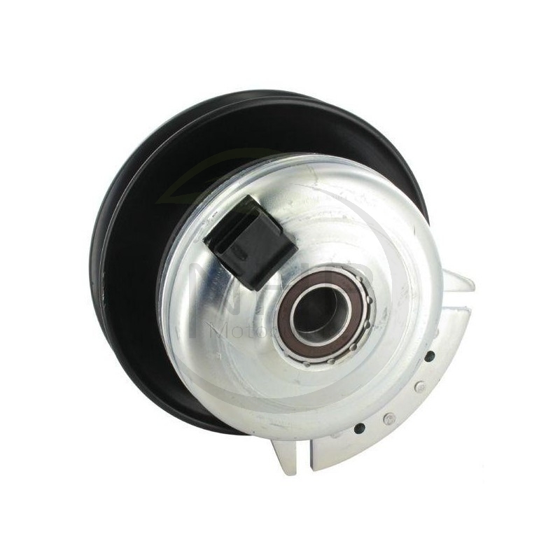 EMBRAYAGE ELECTROMAGNETIQUE TRACTEUR TONDEUSE CASTELGARDEN - GGP 18399069/0 - 118399069/0 - 183990690 - WARNER 5217-63