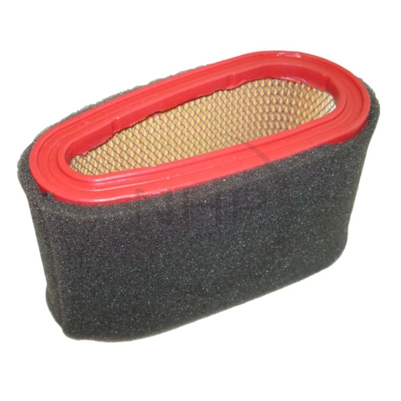 FILTRE A AIR MOTEUR GGP - CASTELGARDEN - 118550199/0 - 18550199/0 - 1185501990 - 185501990 - 1134-9162-01 - 1134916201