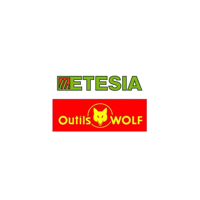 VIS J M 6X16 ETESIA - WOLF 71069