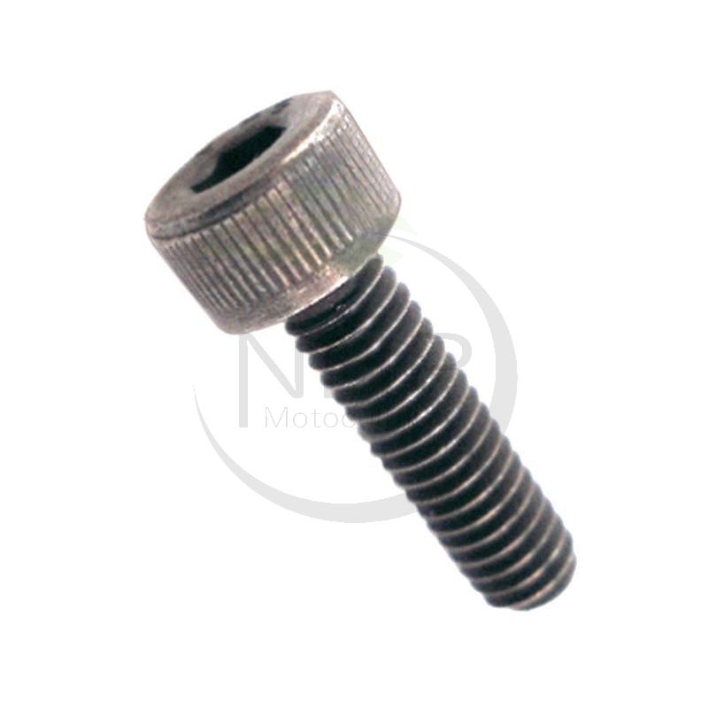 BOULON ECHO - SHINDAIWA 90010504014 - 900105-04014 - 01020-04140